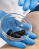 Leech therapy for haemorrhoids. How can leeches help with haemorrhoids?